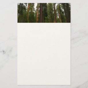 Mariposa Grove i Yosemite National Park Brevpapper