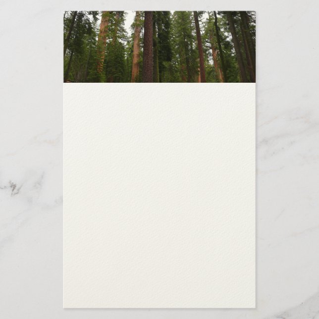 Mariposa Grove i Yosemite National Park Brevpapper (Framsida)