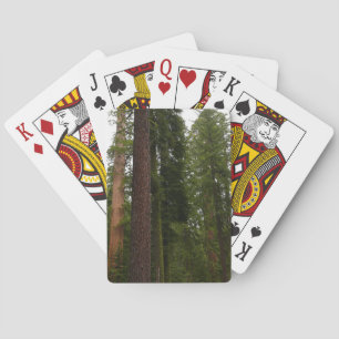Mariposa Grove i Yosemite National Park Casinokort