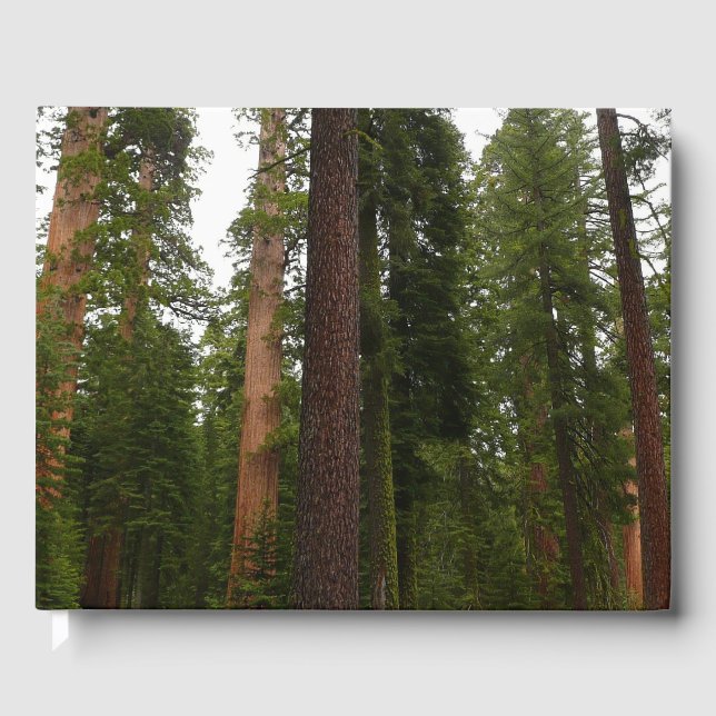 Mariposa Grove i Yosemite National Park Gästböcker (Framsida)