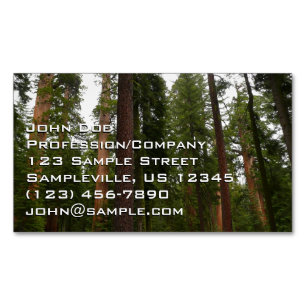 Mariposa Grove i Yosemite National Park Magnetiska Visitkort