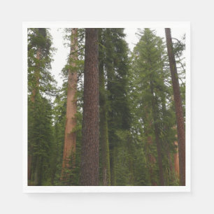 Mariposa Grove i Yosemite National Park Pappersservett