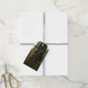 Mariposa Grove i Yosemite National Park Presentetikett