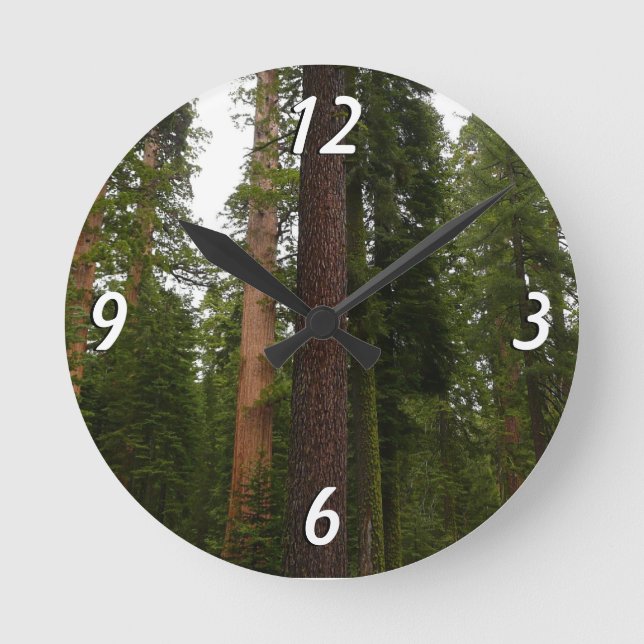 Mariposa Grove i Yosemite National Park Rund Klocka (Framsida)