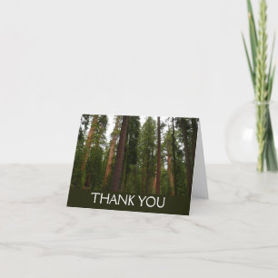 Mariposa Grove i Yosemite National Park Tack Kort