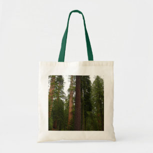 Mariposa Grove i Yosemite National Park Tygkasse
