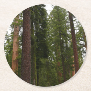 Mariposa Grove i Yosemite National Park Underlägg Papper Rund
