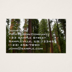 Mariposa Grove i Yosemite National Park Visitkort