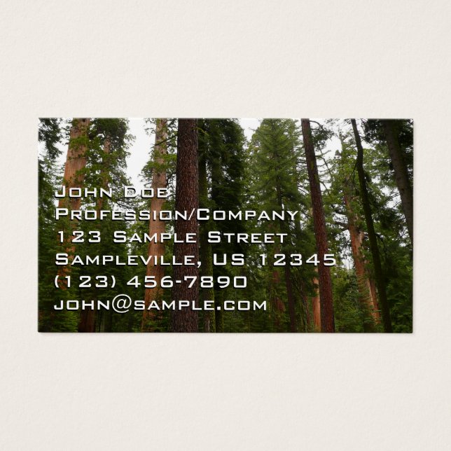 Mariposa Grove i Yosemite National Park Visitkort (Framsidan)