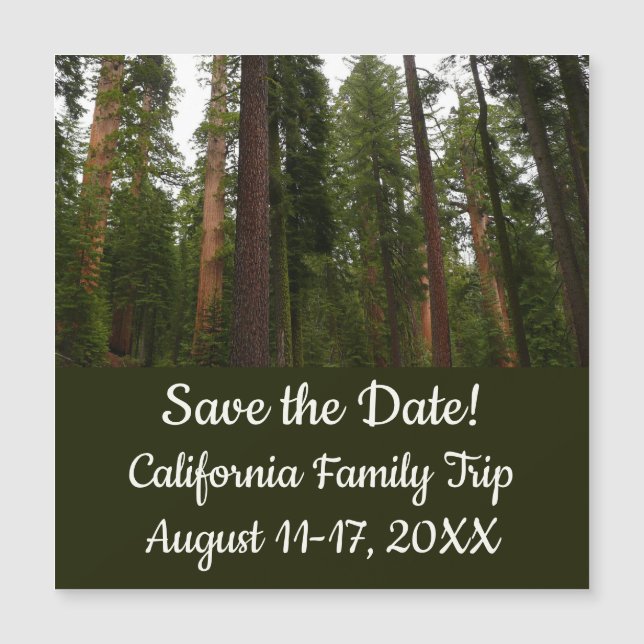 Mariposa Grove i Yosemite nationalpark (Framsida)