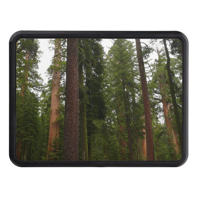 Mariposa Grove i Yosemite nationalpark Dragkroksskydd (Framsidan)