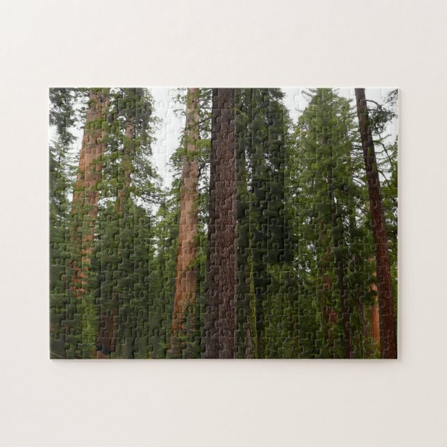 Mariposa Grove i Yosemite nationalpark Pussel (Horisontell)