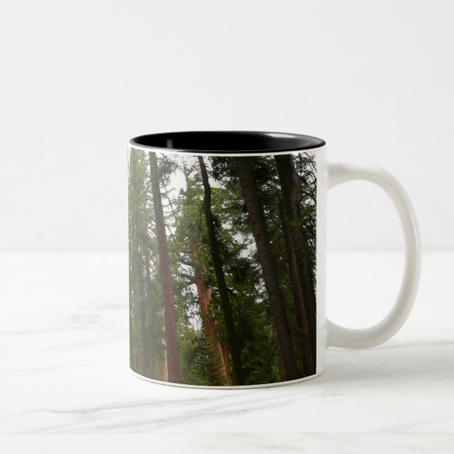 Mariposa Grove i Yosemite nationalpark Två-Tonad Mugg (Höger)