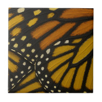 Mariposa Orange Gul Monark Fjäril Vinge