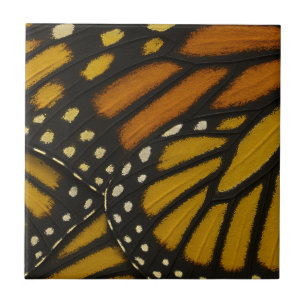 Mariposa Orange Gul Monark Fjäril Vinge Kakelplatta