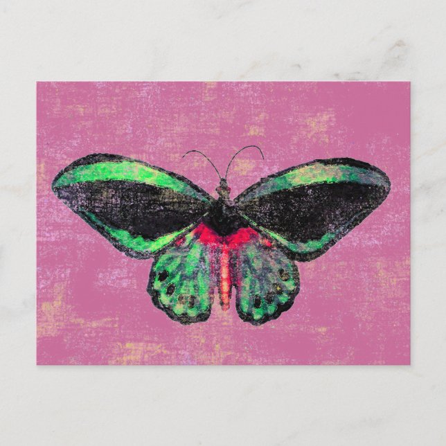 Mariposa ~ Postcard / Inbjudan (Framsida)