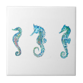 Maritim Seahorse Hippocampus Kakelplatta