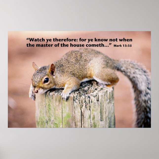 Mark 13 poster (Framsidan)