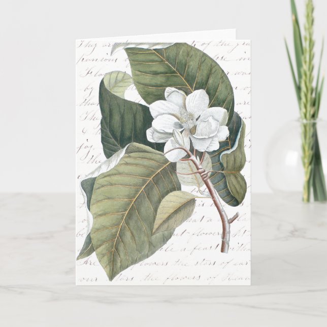 Mark Catesby Magnolia Collage w/Essay on Flowers Kort (Framsida)