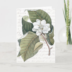 Mark Catesby Magnolia Collage w/Essay on Flowers Kort