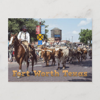 Märk Fort Worth Texas Cattle Drive Postcard Vykort