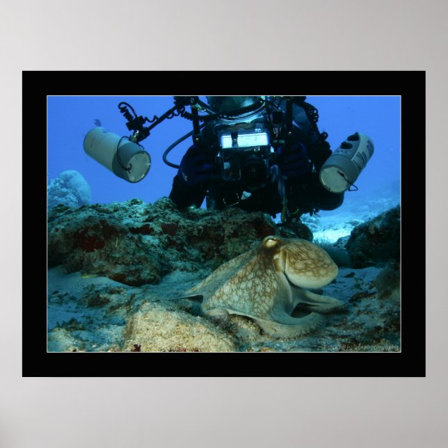 Mark och Octopus Poster (Framsidan)