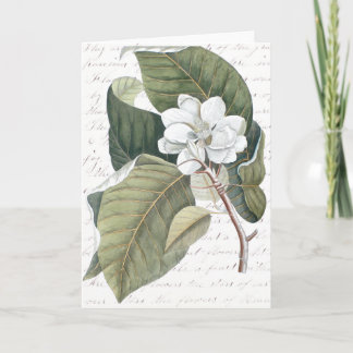 Markera Catesby MagnoliaCollage med essäen på Kort