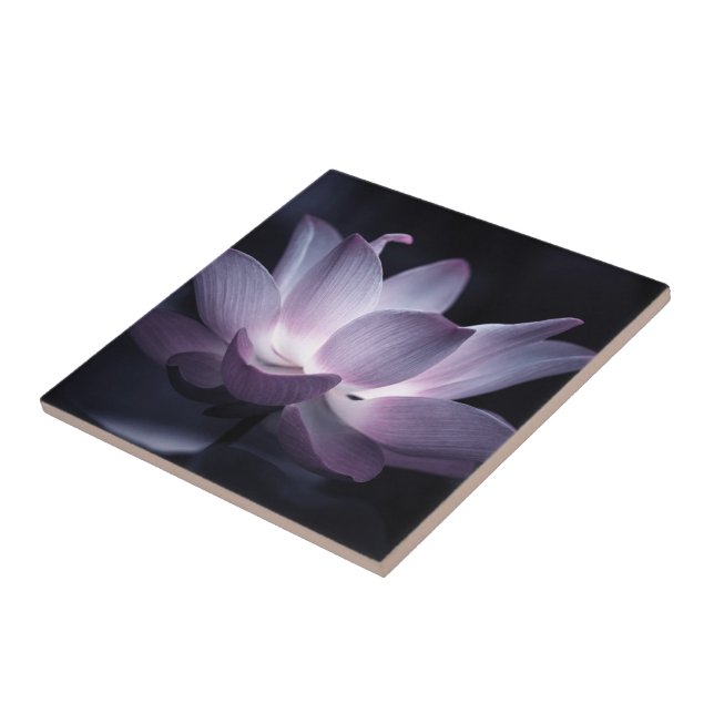 Markerad Lotus-blomma, dekorativ blommigt-foto Kakelplatta (Sidan)
