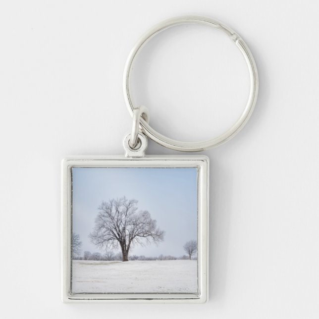 Markerad Winter Oak Träd Fyrkantig Silverfärgad Nyckelring (Framsidan)