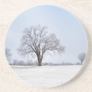 Markerad Winter Oak Träd Underlägg