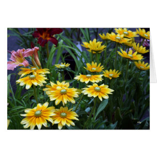 Market Bouquet, Sieze of Daisys Hälsningskort
