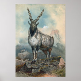 Markhore av Joseph Varg Poster