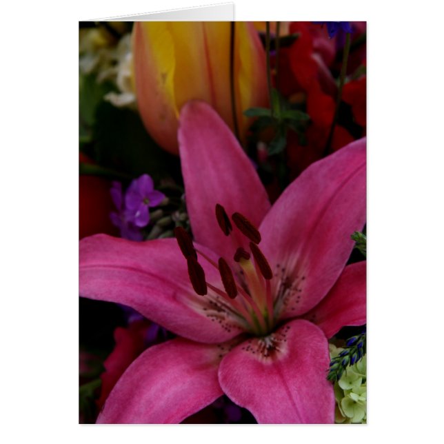 Marknadsflöden I Hälsningskort (Framsidan)