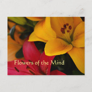 Marknadsflöden II Vykort