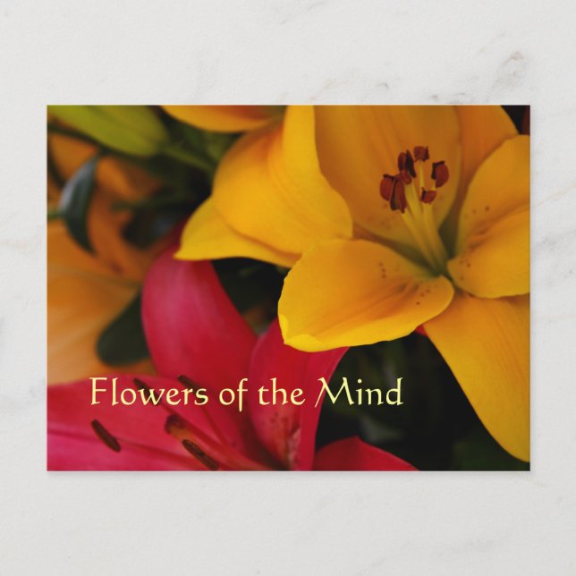 Marknadsflöden II Vykort (Framsida)