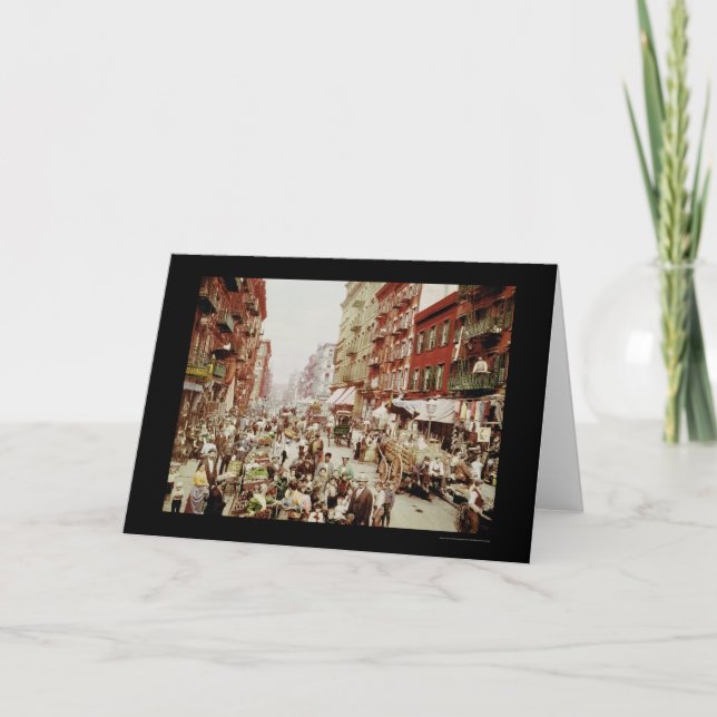 Marknadsföra mullbärsträdSt. New York City 1900 Kort (Framsida)