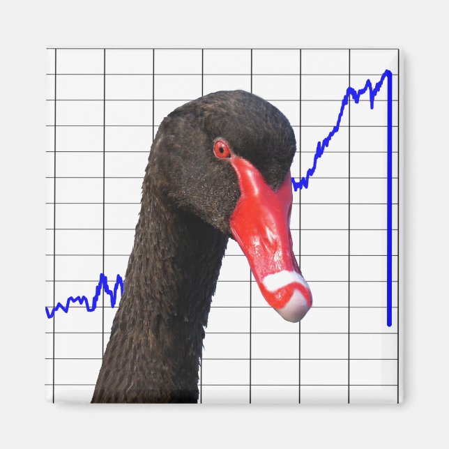 Marknadskraschen i Svarta Svan Magnet (Framsidan)