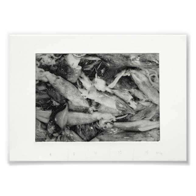 Marknadssegment Fototryck (Framsidan)