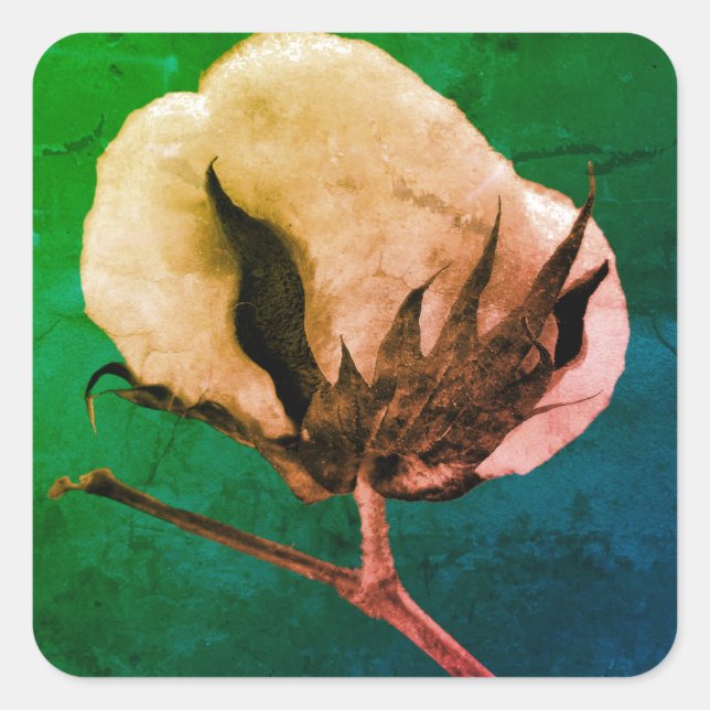 Märkning av bomullsskrov fyrkantigt klistermärke (Framsida)