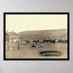 Märkning av nötkreatur SD 1891 Poster