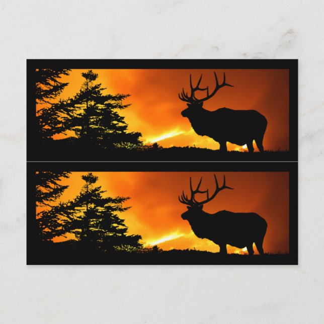 Markörer för Elk och Forest Fire Bok Vykort (Framsida)