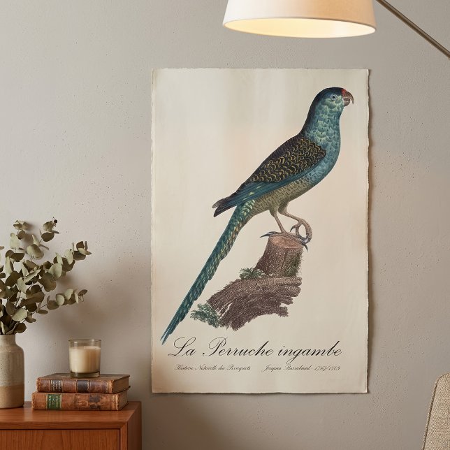 Markpapegoja eller Sump-papegoja, Pezoporus wallic Poster (Ground Parrot or Swamp Parrot, Pezoporus Wallicus. Poster)