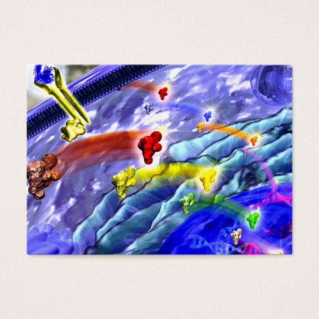 Markprofilkort för signal visitkort (Framsidan)