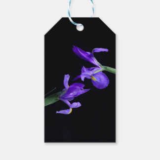 Märkre av Iris Gift med dubbla Lilor Presentetikett