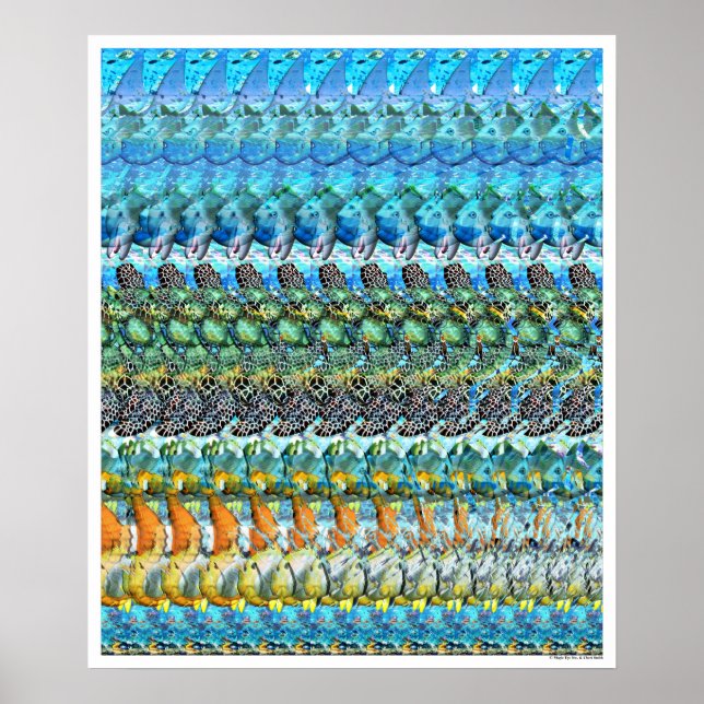 Märkre, det är du! Poster (20 x 24 tum) (Framsidan)