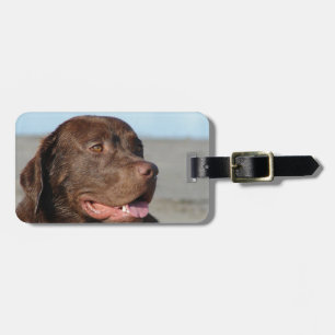 Märkre för bagage för Labrador Retriever Bagagebricka
