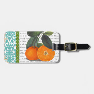 Märkre för bagage för vintageFlorida orange frukt Bagagebricka