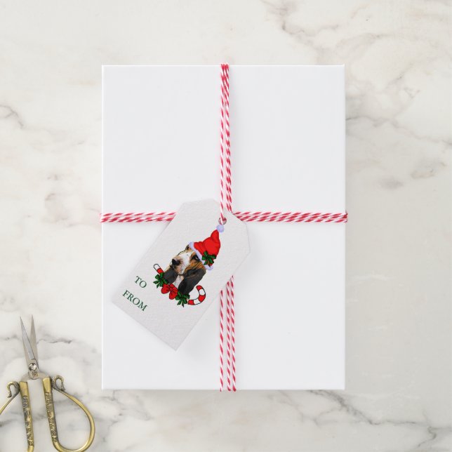 Märkre för Basset Hound Gift Presentetikett (Med Snöre)