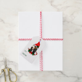 Märkre för Basset Hound Gift Presentetikett