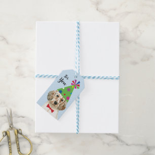 märkre för engelska Setter Gift-födelsedagsfester Presentetikett